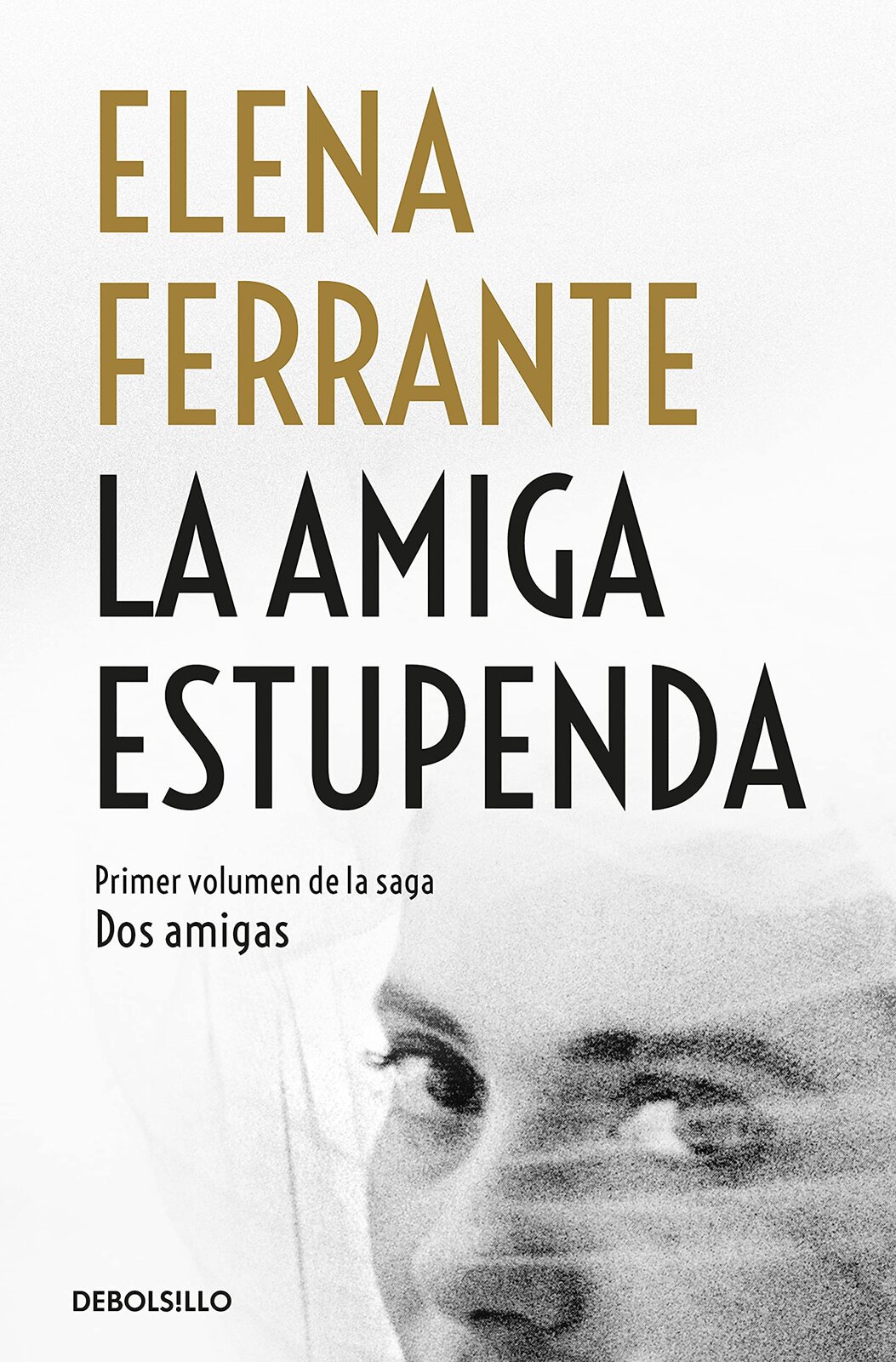 Portada de La amiga estupenda